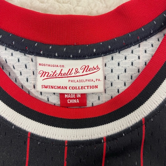 Chicago Bulls Scottie Pippen 1995/96 Hardwood Classics Alternate Swingman Jersey - Picture 7 of 8